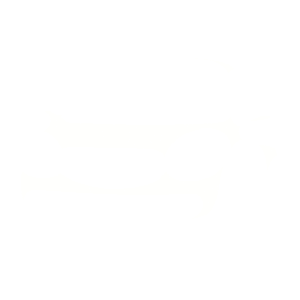 Car Car