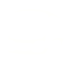 Bus network Bus network