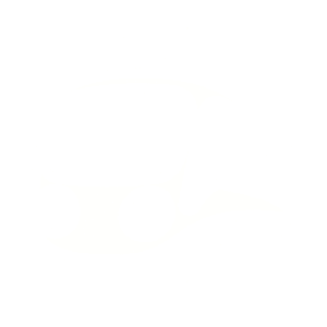 Tram Tram